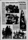 Galloway News and Kirkcudbrightshire Advertiser Thursday 24 June 1993 Page 17