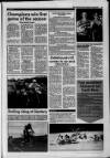 Galloway News and Kirkcudbrightshire Advertiser Thursday 24 June 1993 Page 37