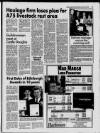 Galloway News and Kirkcudbrightshire Advertiser Thursday 23 March 1995 Page 13