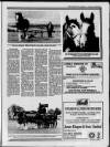 Galloway News and Kirkcudbrightshire Advertiser Thursday 16 November 1995 Page 39