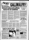 Galloway News and Kirkcudbrightshire Advertiser Thursday 03 October 1996 Page 17