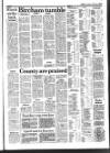 Lynn Advertiser Friday 16 February 1990 Page 67