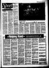 Lynn Advertiser Friday 25 May 1990 Page 91