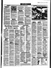 Lynn Advertiser Tuesday 19 January 1993 Page 55
