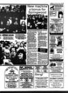 Lynn Advertiser Tuesday 26 January 1993 Page 33