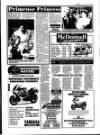 Lynn Advertiser Tuesday 08 June 1993 Page 17