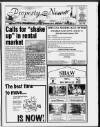 Richmond Informer Friday 20 May 1994 Page 29