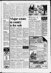 Uttoxeter Newsletter Friday 31 March 1989 Page 3