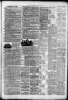 Sutton Coldfield News Saturday 30 September 1905 Page 7