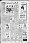 Sutton Coldfield News Saturday 22 June 1907 Page 7