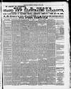 Birmingham Weekly Mercury Saturday 15 June 1889 Page 11