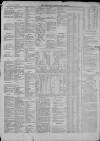 Clevedon Mercury Saturday 27 January 1872 Page 5