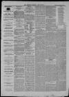 Clevedon Mercury Saturday 02 March 1872 Page 4