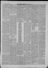 Clevedon Mercury Saturday 08 June 1872 Page 3
