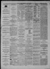 Clevedon Mercury Saturday 29 June 1872 Page 4