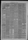 Clevedon Mercury Saturday 29 June 1872 Page 7