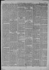 Clevedon Mercury Saturday 20 July 1872 Page 2
