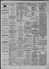 Clevedon Mercury Saturday 20 July 1872 Page 4