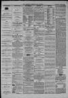 Clevedon Mercury Saturday 27 July 1872 Page 4