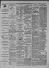 Clevedon Mercury Saturday 03 August 1872 Page 4