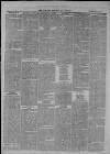 Clevedon Mercury Saturday 03 August 1872 Page 6