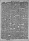 Clevedon Mercury Saturday 31 August 1872 Page 6