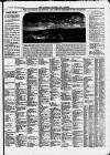 Clevedon Mercury Saturday 15 January 1876 Page 5
