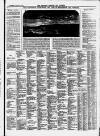 Clevedon Mercury Saturday 22 January 1876 Page 4