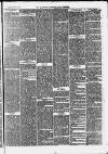 Clevedon Mercury Saturday 30 December 1876 Page 3