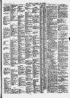 Clevedon Mercury Saturday 24 February 1877 Page 5