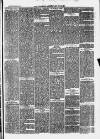 Clevedon Mercury Saturday 24 March 1877 Page 3