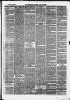 Clevedon Mercury Saturday 09 June 1877 Page 3
