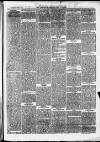 Clevedon Mercury Saturday 16 June 1877 Page 7