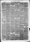 Clevedon Mercury Saturday 30 June 1877 Page 3