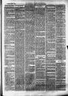 Clevedon Mercury Saturday 07 July 1877 Page 3