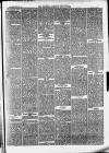 Clevedon Mercury Saturday 27 October 1877 Page 3