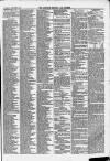 Clevedon Mercury Saturday 18 January 1879 Page 5