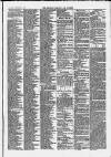 Clevedon Mercury Saturday 08 February 1879 Page 5