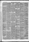 Clevedon Mercury Saturday 22 February 1879 Page 3