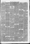 Clevedon Mercury Saturday 22 February 1879 Page 7
