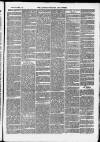 Clevedon Mercury Saturday 01 March 1879 Page 3