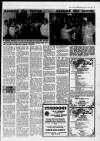 Clevedon Mercury Thursday 26 February 1987 Page 45