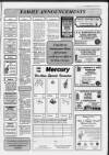 Clevedon Mercury Thursday 06 January 1994 Page 41