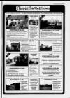 Clevedon Mercury Thursday 02 June 1994 Page 37