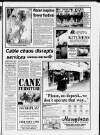 Clevedon Mercury Thursday 06 July 1995 Page 11