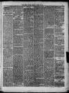 North Devon Herald Thursday 29 March 1877 Page 5