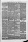 North Devon Herald Thursday 29 March 1877 Page 11