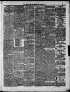 North Devon Herald Thursday 21 June 1877 Page 3