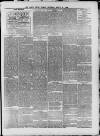 North Devon Herald Thursday 06 March 1890 Page 3