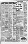 Accrington Observer and Times Friday 30 March 1990 Page 41